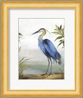 Blue Heron Fine Art Print