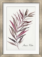 Areca Palm Fine Art Print