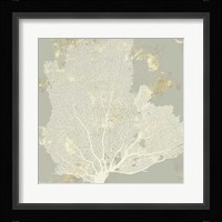 Sea Coral I Framed Print