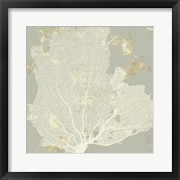 Sea Coral I Framed Print