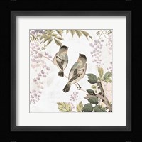 Woodland Birds II Framed Print