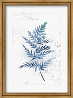 Botanical Blue I Fine Art Print