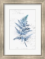 Botanical Blue I Fine Art Print