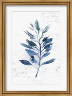 Botanical Blue II Fine Art Print