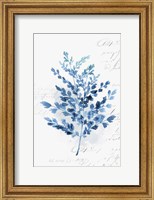 Botanical Blue III Fine Art Print
