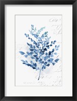 Botanical Blue III Framed Print