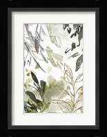 Flourishing Green I Framed Print
