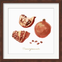 Pomegranate Fine Art Print