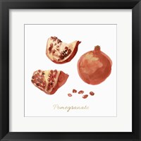 Pomegranate Framed Print