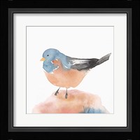 Birdie III Framed Print
