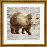 Crossing Bear I Fine Art Print