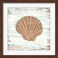 Ocean Scallop Fine Art Print
