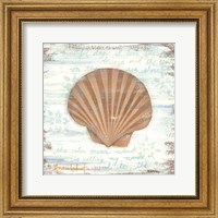 Ocean Scallop Fine Art Print