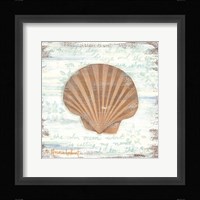 Ocean Scallop Fine Art Print