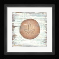 Ocean Sand Dollar Fine Art Print