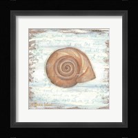 Ocean Snail Fine Art Print