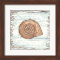 Ocean Snail Fine Art Print