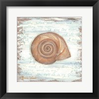 Ocean Snail Framed Print