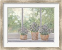 Lavender Pots Fine Art Print