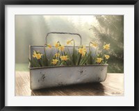 Daffodil Tin Fine Art Print