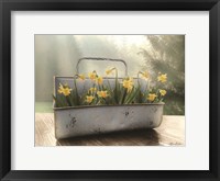 Daffodil Tin Fine Art Print