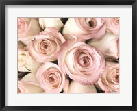 Top View - Pink Roses Fine Art Print