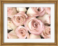 Top View - Pink Roses Fine Art Print