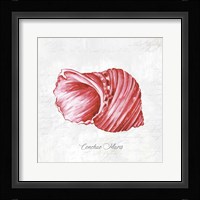 Red Seashell Framed Print