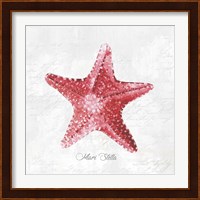 Red Starfish Fine Art Print