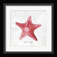 Red Starfish Framed Print