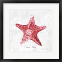 Red Starfish Framed Print