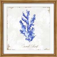 Blue Sea Coral Fine Art Print