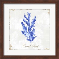 Blue Sea Coral Fine Art Print