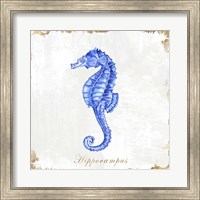 Blue Sea Horse Fine Art Print