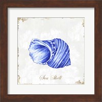 Blue Seashell Fine Art Print