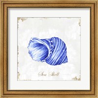 Blue Seashell Fine Art Print