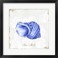 Blue Seashell Fine Art Print