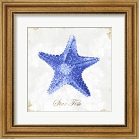 Blue Starfish Fine Art Print