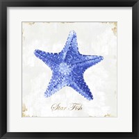 Blue Starfish Framed Print