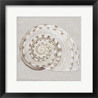 Neutral Shells I Fine Art Print