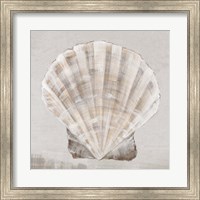 Neutral Shells II Fine Art Print