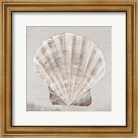 Neutral Shells II Fine Art Print