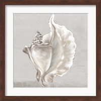 Neutral Shells III Fine Art Print