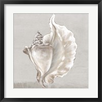 Neutral Shells III Fine Art Print
