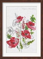 Botanical Poppies Fine Art Print