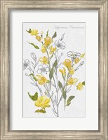 Botantical Yellow Flowers Fine Art Print