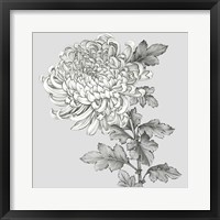 Grey Botanical I Fine Art Print