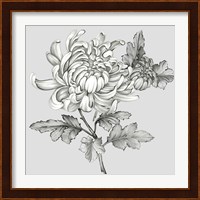 Grey Botanical II Fine Art Print