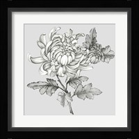 Grey Botanical II Framed Print