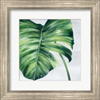 Tropical Leaf II Fine Art Print